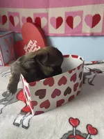 processed/a8d78205-2855-403f-86bb-0ed38af5af2b/listing/a5c6821b-ee50-40ed-9d17-062e679be70f/1d62d280-4211-412a-9d2a-fce0743e01af