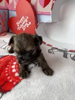 processed/a8d78205-2855-403f-86bb-0ed38af5af2b/listing/a5c6821b-ee50-40ed-9d17-062e679be70f/20f76ab7-ad0b-4706-aaba-6ee695dad0c3