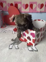 processed/a8d78205-2855-403f-86bb-0ed38af5af2b/listing/a5c6821b-ee50-40ed-9d17-062e679be70f/411eb1e7-32f2-48e7-ab04-00dc15db31a8