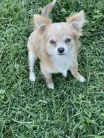 processed/a8d78205-2855-403f-86bb-0ed38af5af2b/listing/a5c6821b-ee50-40ed-9d17-062e679be70f/725f5cba-fd28-4eaf-89bf-7961bd1b8d6b