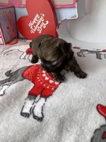 processed/a8d78205-2855-403f-86bb-0ed38af5af2b/listing/a5c6821b-ee50-40ed-9d17-062e679be70f/930a6ca2-a9d9-47d5-8ce8-8dd6c365fcd9