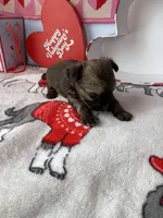 processed/a8d78205-2855-403f-86bb-0ed38af5af2b/listing/a5c6821b-ee50-40ed-9d17-062e679be70f/94db2b58-3402-49a7-beba-91b4f6b33262