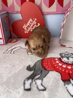 processed/a8d78205-2855-403f-86bb-0ed38af5af2b/listing/ca8a9839-3401-440e-8f5e-f35b2faeeb95/0177d6fa-744d-4653-a601-733741d8ae68