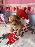 processed/a8d78205-2855-403f-86bb-0ed38af5af2b/listing/ca8a9839-3401-440e-8f5e-f35b2faeeb95/07afb138-d090-47e2-a8ca-0fd78b80f6fa