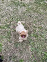 processed/a8d78205-2855-403f-86bb-0ed38af5af2b/listing/ca8a9839-3401-440e-8f5e-f35b2faeeb95/458f83e0-9d62-42b9-aa4c-d8a211785d4e