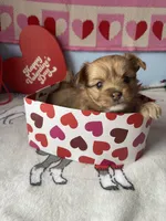 processed/a8d78205-2855-403f-86bb-0ed38af5af2b/listing/ca8a9839-3401-440e-8f5e-f35b2faeeb95/4e741fdc-c35b-4d23-b984-262c69d91ae8