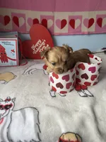 processed/a8d78205-2855-403f-86bb-0ed38af5af2b/listing/ca8a9839-3401-440e-8f5e-f35b2faeeb95/67ca6ad2-7bcb-425e-be30-c34bd42e9c92