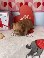 processed/a8d78205-2855-403f-86bb-0ed38af5af2b/listing/ca8a9839-3401-440e-8f5e-f35b2faeeb95/884f1f0b-eef2-4169-a52e-40f064733449