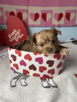 processed/a8d78205-2855-403f-86bb-0ed38af5af2b/listing/ca8a9839-3401-440e-8f5e-f35b2faeeb95/ebe1832c-1f90-4652-a017-d2f2e10a711e