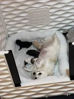 processed/a8d78205-2855-403f-86bb-0ed38af5af2b/listing/d8594091-0dd6-4f2a-bbf6-bc4d05d35515/821fd3d4-3fb6-49ee-b165-73b57f0f3e85