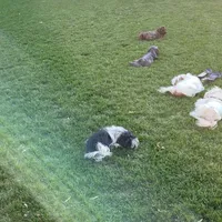 processed/a8dc2e07-a3dd-41b8-9c20-031093a830a4/facility/3105746d-50d6-4160-ab9a-3613afad077b