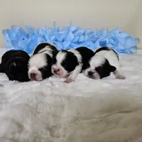 processed/a8dc2e07-a3dd-41b8-9c20-031093a830a4/facility/444df196-a78c-40c0-a2a9-37a896fc95a1