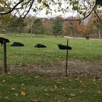 processed/a8dc2e07-a3dd-41b8-9c20-031093a830a4/facility/ad38e913-5340-450e-a1ca-7c00587e07e1