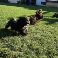 processed/a8dc2e07-a3dd-41b8-9c20-031093a830a4/facility/b2c8ba94-15dc-4392-8080-886ce2199ca9