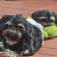 processed/a8dc2e07-a3dd-41b8-9c20-031093a830a4/facility/b7e38448-0136-44ae-b28e-9c65379e7cd6