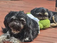 processed/a8dc2e07-a3dd-41b8-9c20-031093a830a4/facility/b7e38448-0136-44ae-b28e-9c65379e7cd6