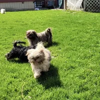 processed/a8dc2e07-a3dd-41b8-9c20-031093a830a4/facility/e6feebdc-8e17-4c40-b492-109aef396347