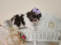 processed/a8dc2e07-a3dd-41b8-9c20-031093a830a4/listing/2bc8b0bd-b261-4224-b93c-648a6521dd02/1db5db9e-df32-450a-b48d-67047eed2990