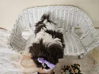 processed/a8dc2e07-a3dd-41b8-9c20-031093a830a4/listing/2bc8b0bd-b261-4224-b93c-648a6521dd02/266c1b09-7076-4887-a517-55a9cf9f0b60