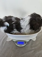 processed/a8dc2e07-a3dd-41b8-9c20-031093a830a4/listing/2bc8b0bd-b261-4224-b93c-648a6521dd02/2d8dbaf7-03c7-4ef7-8145-1ed8d33ea030