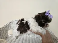 processed/a8dc2e07-a3dd-41b8-9c20-031093a830a4/listing/2bc8b0bd-b261-4224-b93c-648a6521dd02/8a32bf62-a156-49c9-9207-92383303b8c0