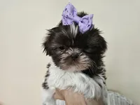 processed/a8dc2e07-a3dd-41b8-9c20-031093a830a4/listing/2bc8b0bd-b261-4224-b93c-648a6521dd02/b66d70de-2ced-479c-9181-fa8c0edd5c07