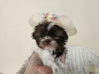 processed/a8dc2e07-a3dd-41b8-9c20-031093a830a4/listing/2bc8b0bd-b261-4224-b93c-648a6521dd02/e6f51508-2deb-437c-99a9-95313a993679