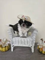 processed/a8dc2e07-a3dd-41b8-9c20-031093a830a4/listing/3d7d89b8-36d2-4b2d-9135-2d720c793608/00bcbab6-c451-4055-a18b-c5dd0d5bc5ee