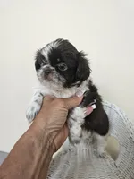 processed/a8dc2e07-a3dd-41b8-9c20-031093a830a4/listing/3d7d89b8-36d2-4b2d-9135-2d720c793608/4b28c2cf-6645-4219-8b78-54fec331050b