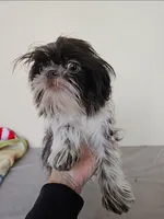 processed/a8dc2e07-a3dd-41b8-9c20-031093a830a4/listing/3d7d89b8-36d2-4b2d-9135-2d720c793608/5cf12b78-e7b1-42fb-be68-61272cd66ba9