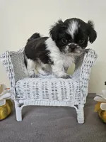 processed/a8dc2e07-a3dd-41b8-9c20-031093a830a4/listing/3d7d89b8-36d2-4b2d-9135-2d720c793608/637c844c-cf8a-4ca4-b807-9f6664b58e7e