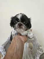 processed/a8dc2e07-a3dd-41b8-9c20-031093a830a4/listing/3d7d89b8-36d2-4b2d-9135-2d720c793608/7287449c-e8a7-42fa-9617-39367fabe35f