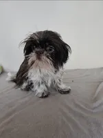 processed/a8dc2e07-a3dd-41b8-9c20-031093a830a4/listing/3d7d89b8-36d2-4b2d-9135-2d720c793608/736627fa-0828-4668-bb96-9782262111fb