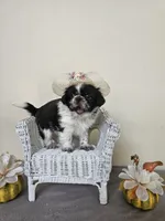 processed/a8dc2e07-a3dd-41b8-9c20-031093a830a4/listing/3d7d89b8-36d2-4b2d-9135-2d720c793608/765f21c0-b4c0-4656-b5f0-ed269203fea6