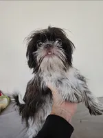 processed/a8dc2e07-a3dd-41b8-9c20-031093a830a4/listing/3d7d89b8-36d2-4b2d-9135-2d720c793608/b14448d0-2737-46c8-b7f0-044ebde9b491