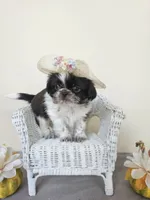 processed/a8dc2e07-a3dd-41b8-9c20-031093a830a4/listing/3d7d89b8-36d2-4b2d-9135-2d720c793608/c38bf008-dfde-45a1-be5d-a16a273dad77