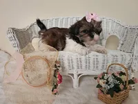 processed/a8dc2e07-a3dd-41b8-9c20-031093a830a4/listing/b1900ce7-13ac-4644-8376-71cab27a05ef/64ca6e4f-2a30-4d18-93df-08ed7ca9d9dc