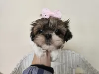 processed/a8dc2e07-a3dd-41b8-9c20-031093a830a4/listing/b1900ce7-13ac-4644-8376-71cab27a05ef/939651a1-7485-4bfa-b3c9-9190afc3021a