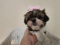 processed/a8dc2e07-a3dd-41b8-9c20-031093a830a4/listing/b1900ce7-13ac-4644-8376-71cab27a05ef/b30eb87e-acd6-4b05-869a-13fa65323f0b