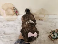 processed/a8dc2e07-a3dd-41b8-9c20-031093a830a4/listing/b1900ce7-13ac-4644-8376-71cab27a05ef/c6c0d681-2515-4193-96c2-d5893c51857a