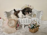 processed/a8dc2e07-a3dd-41b8-9c20-031093a830a4/listing/b1900ce7-13ac-4644-8376-71cab27a05ef/d31fbf04-3ec4-4b24-a45d-736304ba643b