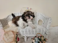 processed/a8dc2e07-a3dd-41b8-9c20-031093a830a4/listing/b1900ce7-13ac-4644-8376-71cab27a05ef/e1a09aaf-1fa0-42d2-9a1b-29d9a01be673