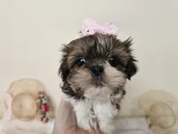 processed/a8dc2e07-a3dd-41b8-9c20-031093a830a4/listing/b1900ce7-13ac-4644-8376-71cab27a05ef/f7d80269-1cce-484d-9eef-98e37c8eafe1