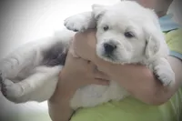 processed/a8e296fa-b924-42e6-a0fe-44b376c56681/facility/05db2bb6-4b95-4602-bdf1-eefb1d737648