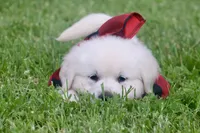 processed/a8e296fa-b924-42e6-a0fe-44b376c56681/facility/3530b21f-eefa-4fed-ab18-e12b4ec7f404