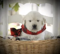 processed/a8e296fa-b924-42e6-a0fe-44b376c56681/facility/499b1501-befd-492c-a5e6-b4687728f3d1