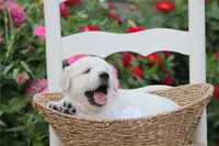 processed/a8e296fa-b924-42e6-a0fe-44b376c56681/facility/5728f79e-fd84-41cd-8fb0-0a4bebb8d417