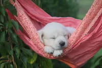 processed/a8e296fa-b924-42e6-a0fe-44b376c56681/facility/604eb69d-435f-4702-bb09-1d613b2be444