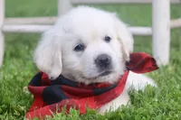 processed/a8e296fa-b924-42e6-a0fe-44b376c56681/facility/87e743be-29cd-41f8-8e5a-aa47c6b9c8e7