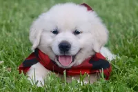 processed/a8e296fa-b924-42e6-a0fe-44b376c56681/facility/a15f33d2-4efa-4d7a-9b62-e305f8cbf484